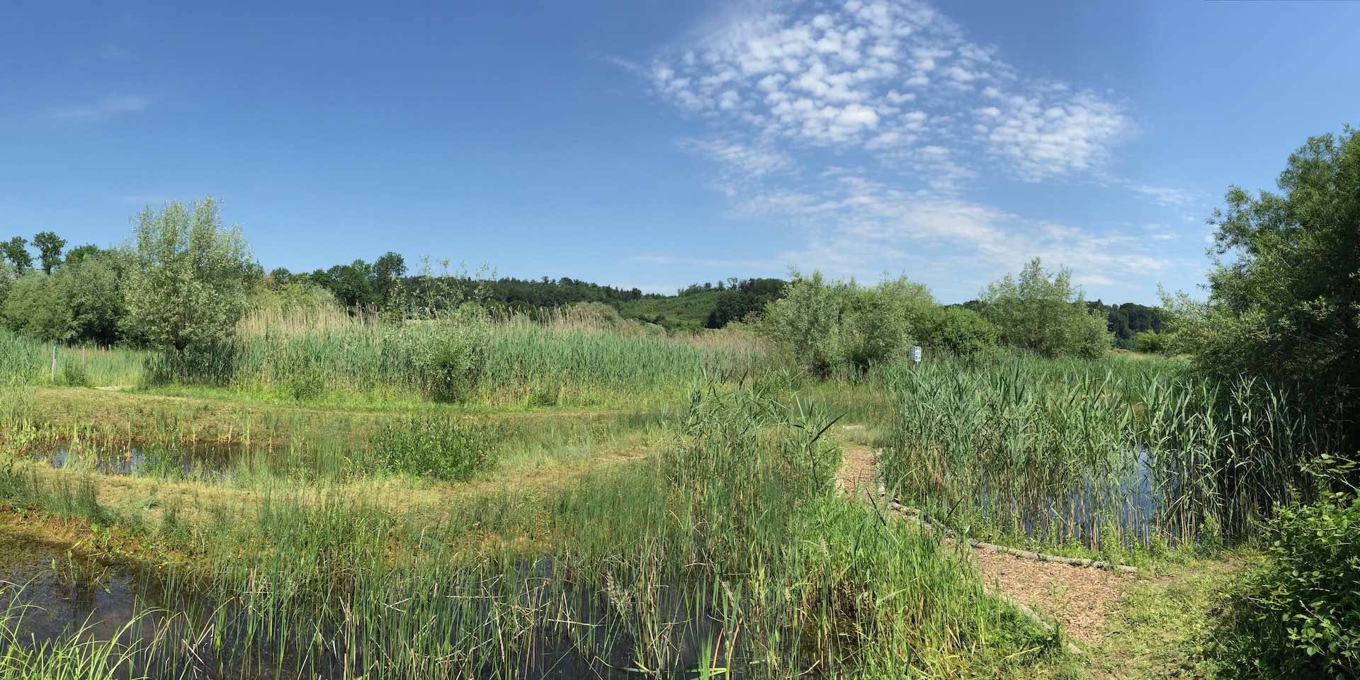 Naturschutzgebiet Auried